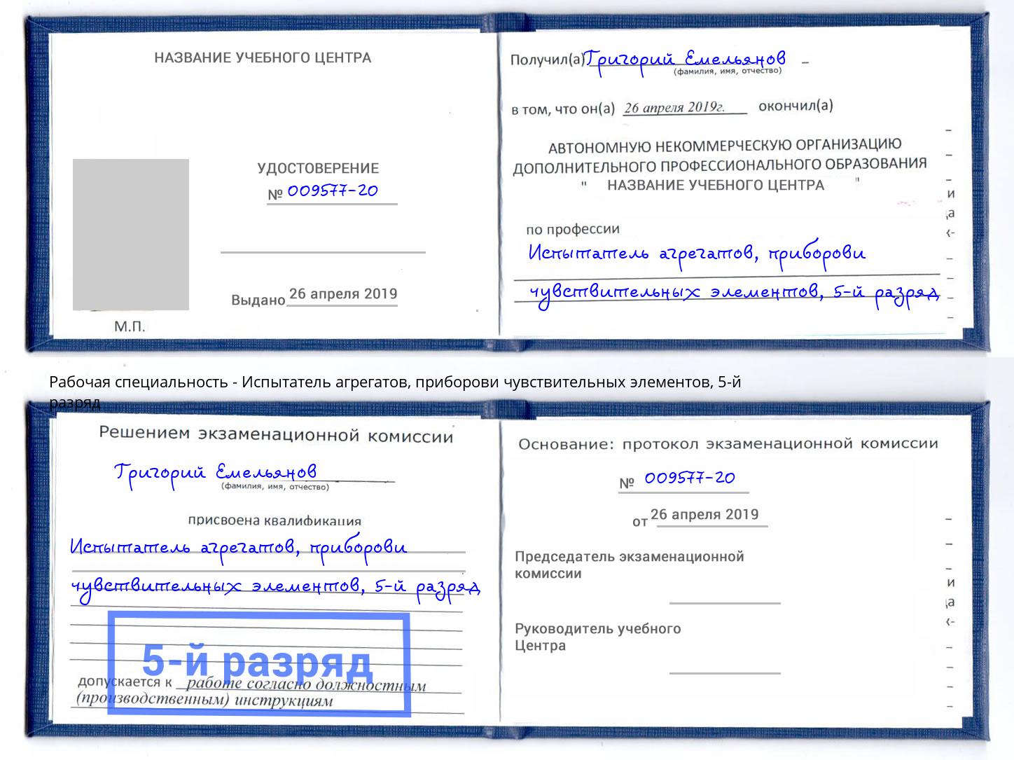 корочка 5-й разряд Испытатель агрегатов, приборови чувствительных элементов Горячий Ключ