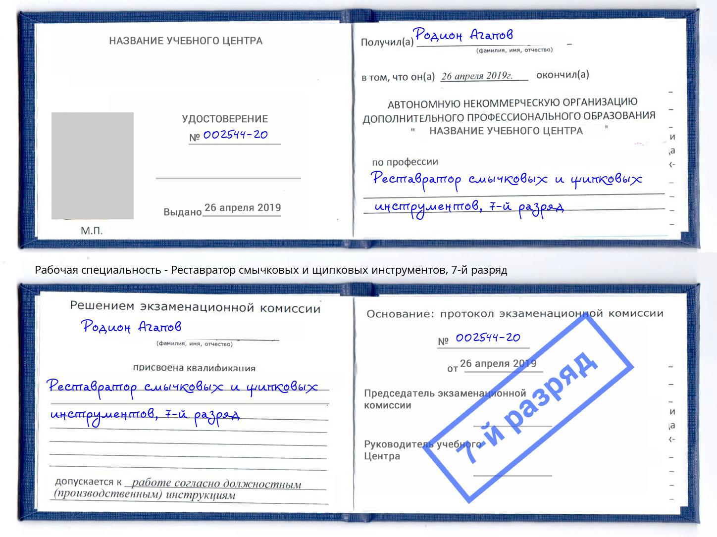 корочка 7-й разряд Реставратор смычковых и щипковых инструментов Горячий Ключ