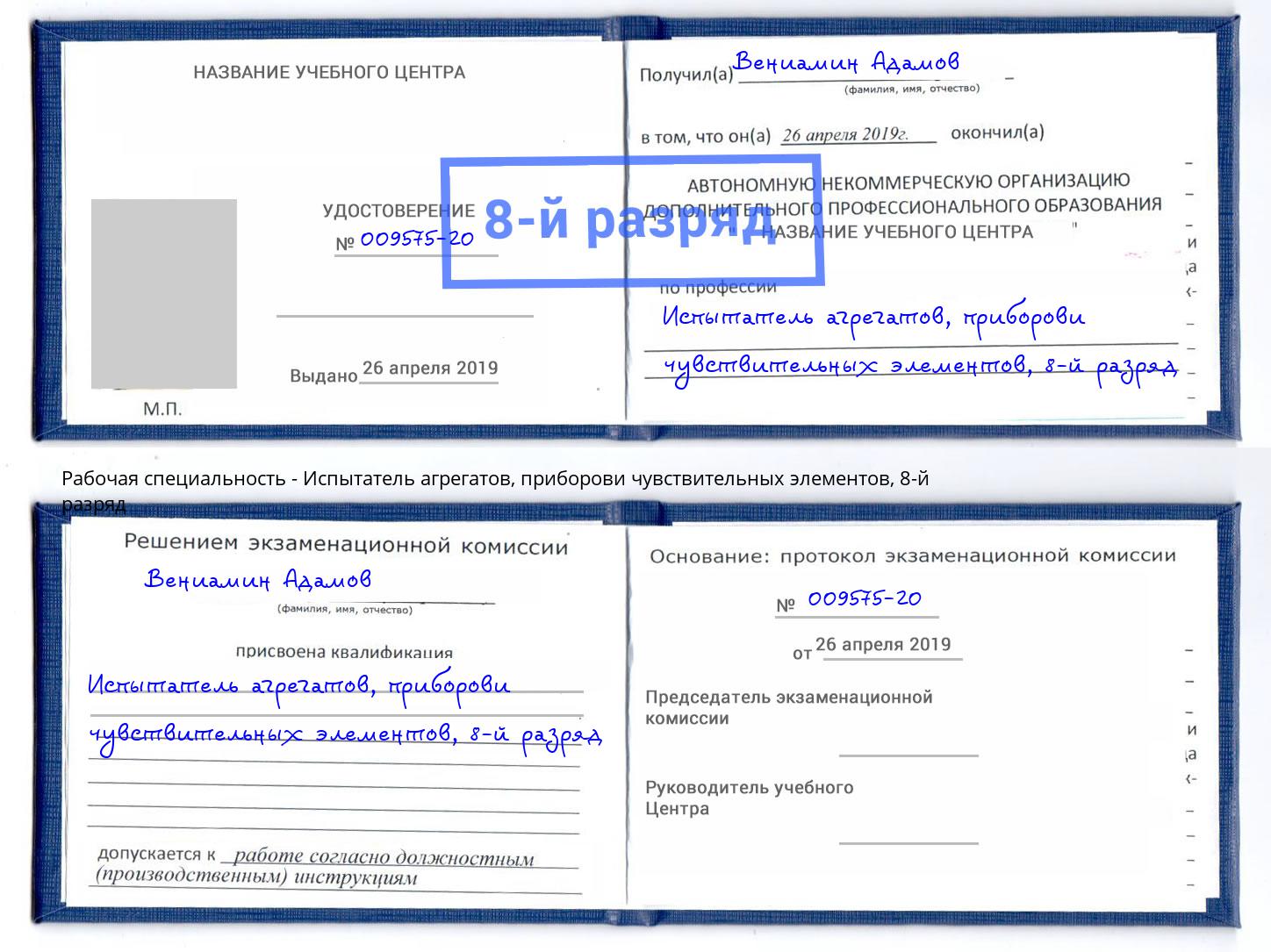 корочка 8-й разряд Испытатель агрегатов, приборови чувствительных элементов Горячий Ключ